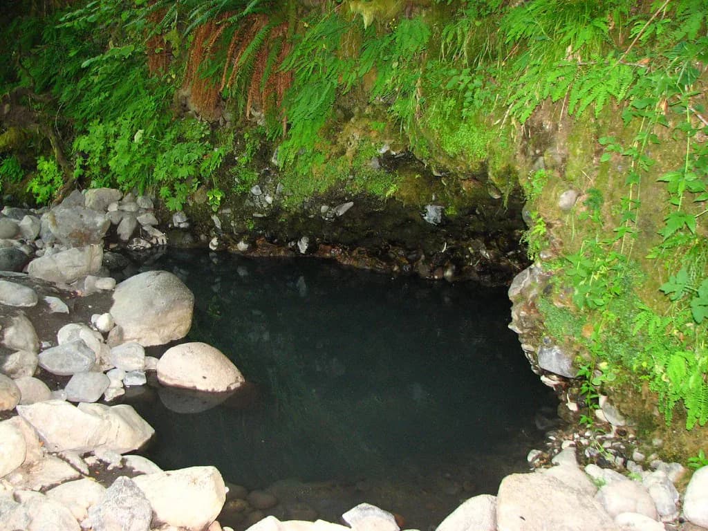 Bigelow Hot Springs, Oregon: Relaxing Roadside Soak Guide