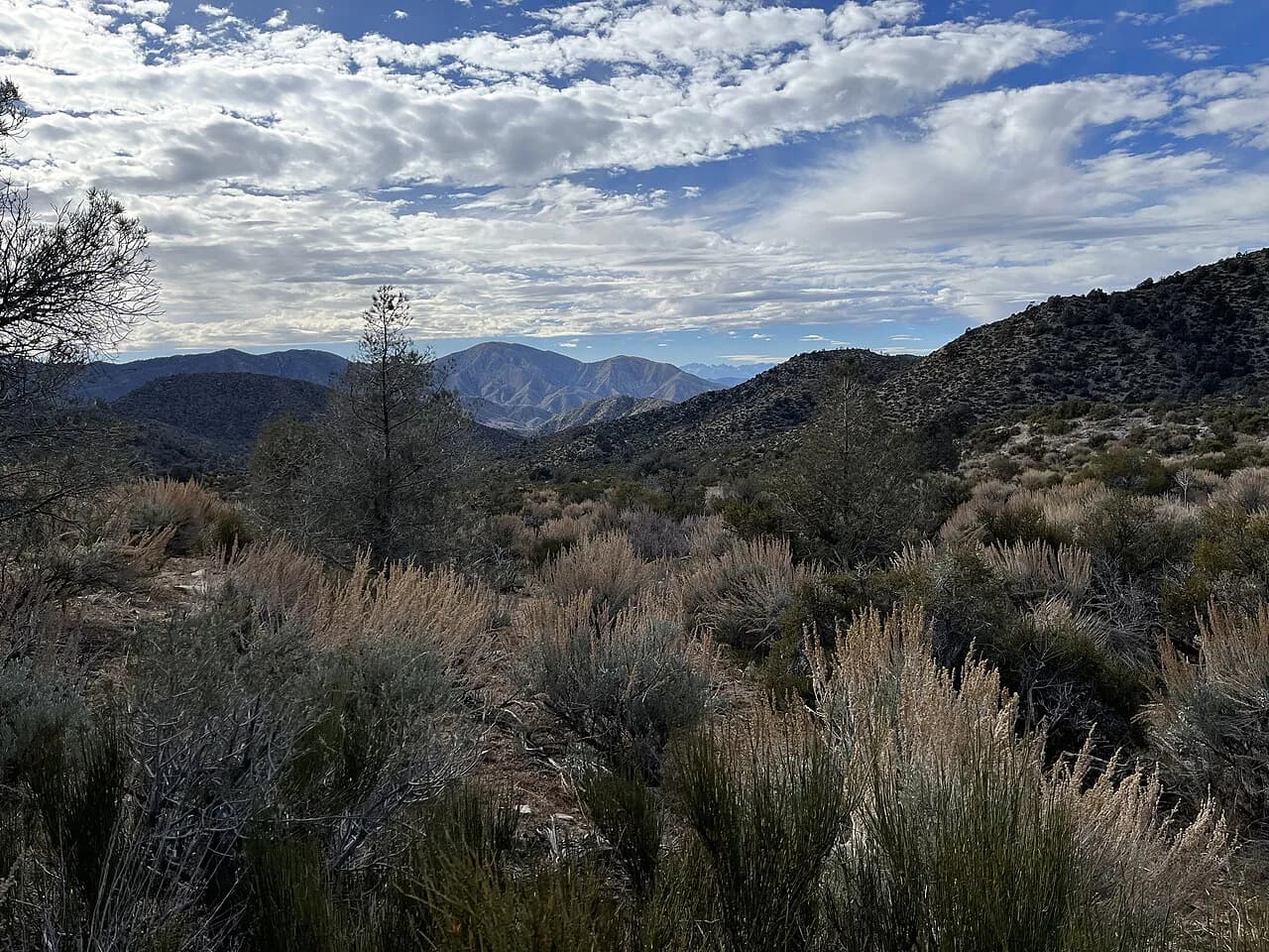 Carson Hot Springs, Carson City NV: Soaking Guide