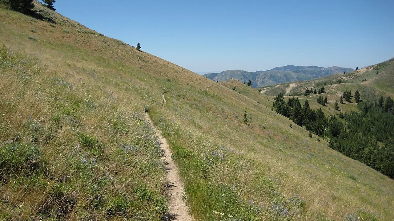 Challis Hot Springs, Idaho: Pools vs Camping Guide