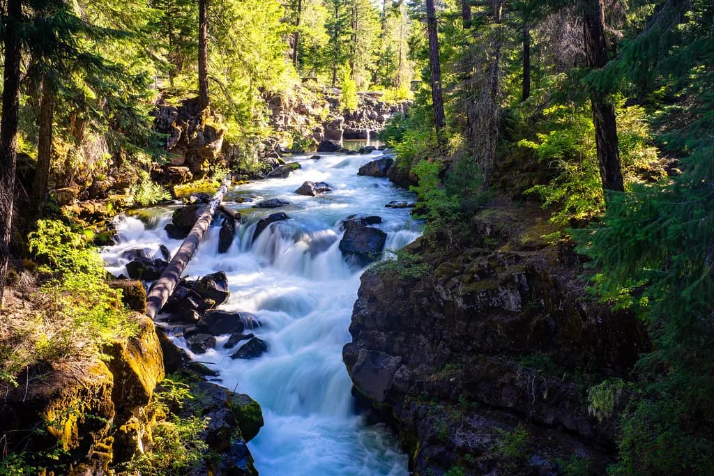 Hot Springs Near Burns, Oregon: Where to Soak