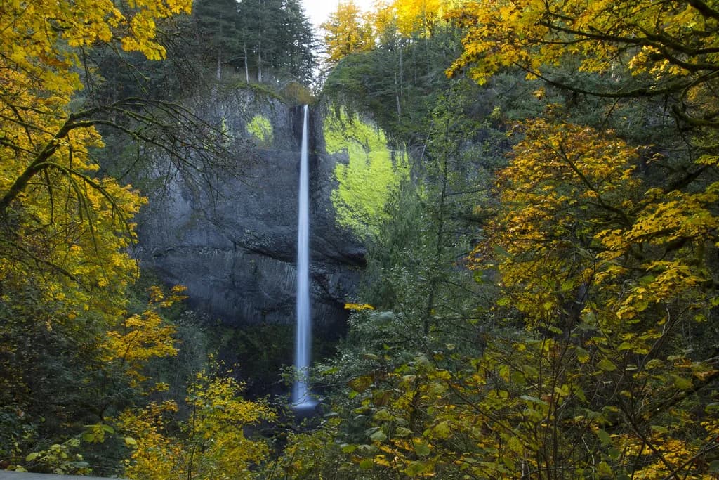 Hot Springs Near Portland, Oregon: Where to Soak and How Far