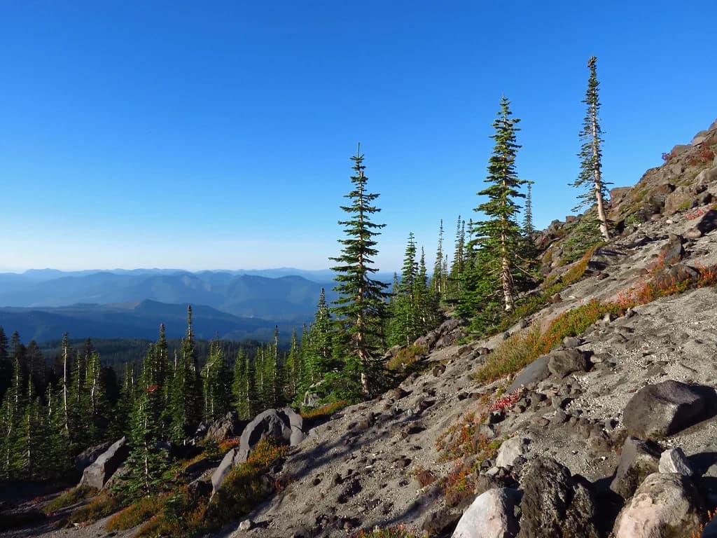 Hot Springs Near Seattle: Where to Soak in Washington