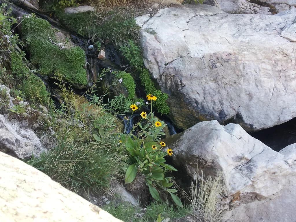 Hot Springs Near Stanley, Idaho: Which Soaks to Pick