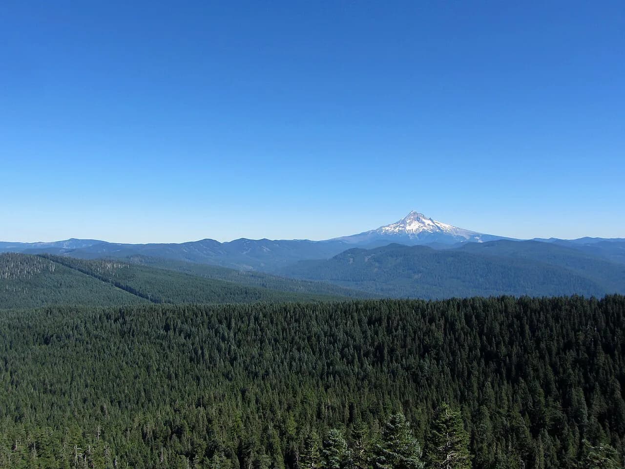 Kitson Hot Springs, Oregon: Status, Access & Nearby Soaks