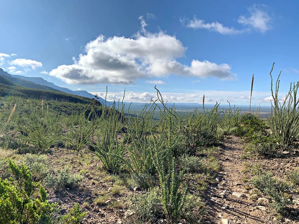 La Paloma Hot Springs, New Mexico: Soaking Guide