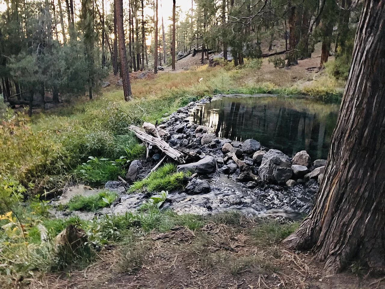 McCauley Hot Springs, New Mexico: Hiking the East Fork Trail