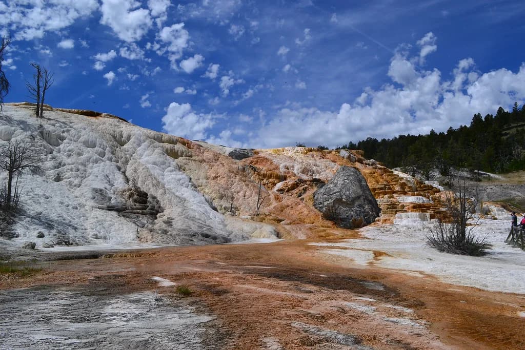 Montana, Northern Rockies