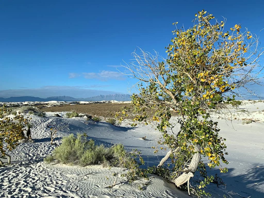 Ponce de Leon Hot Springs, New Mexico: Soaking Guide