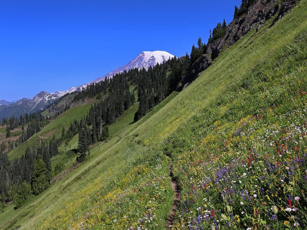 Scenic Hot Springs, Washington: Which Hike-In Soak to Choose