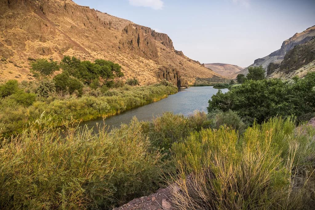 Three Forks Hot Springs, Oregon: Owyhee Canyon Access Guide