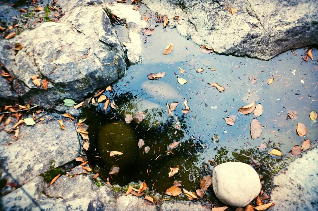 Willow Creek Hot Springs, Oregon: Plan Your Remote BLM Soak