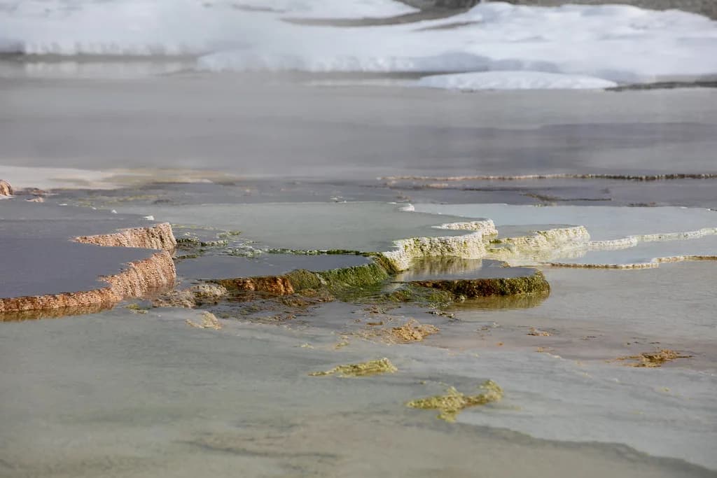Yellowstone Hot Springs, Montana: Pools, Fees and Access