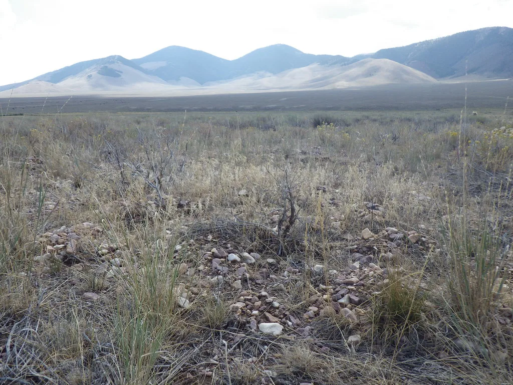 Pahsimeroi Road - Summerhouse Canyon: sagebrush steppe, near Barney Hot Springs, Idaho