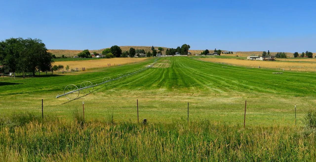 Fields along U.S. Highway 395 between John Day and Burns, Oregon