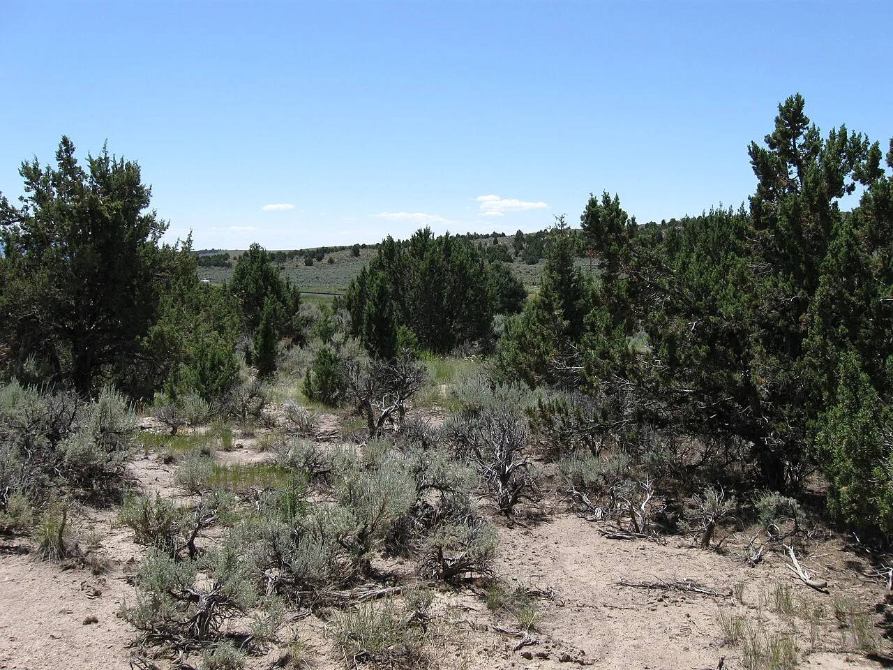 Utah West Desert