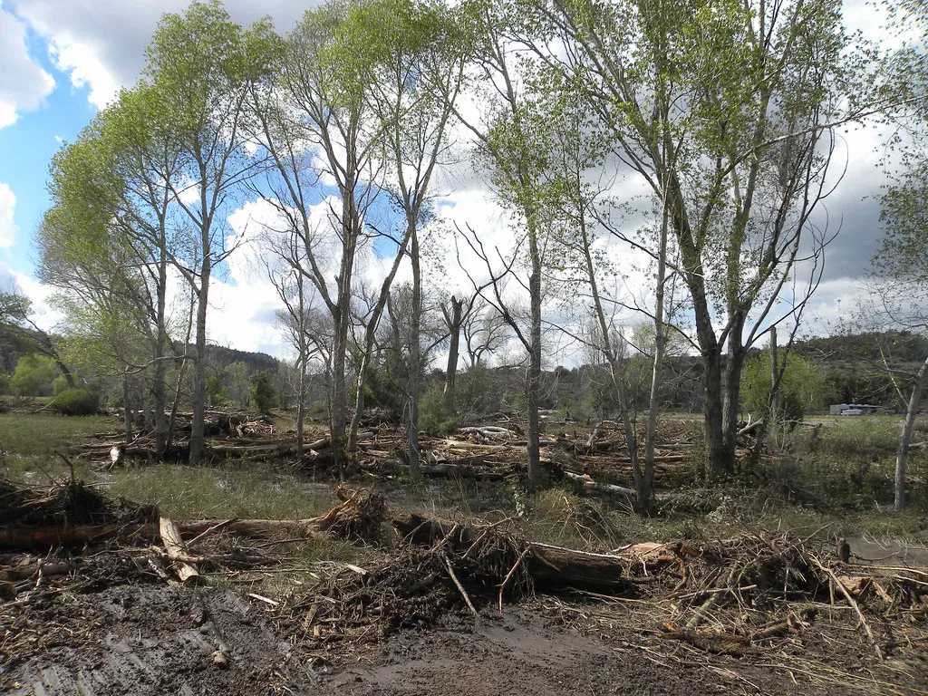 Gila River flooding in Gila Hot Springs area, New Mexico
