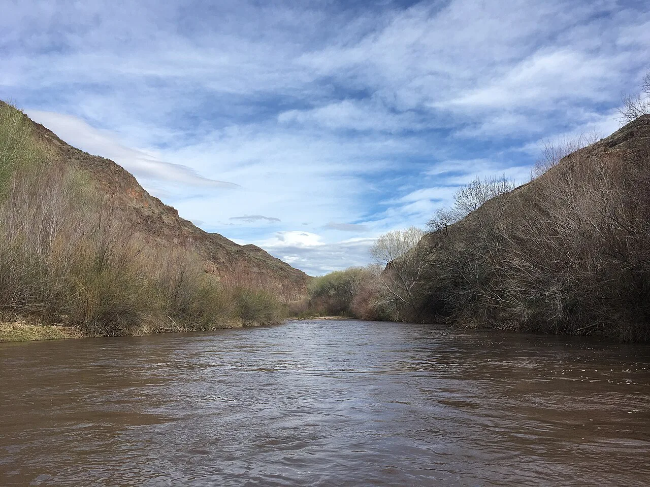 Gila River in the Gila Box National Conservation Area, near Gillard Hot Springs, Arizona