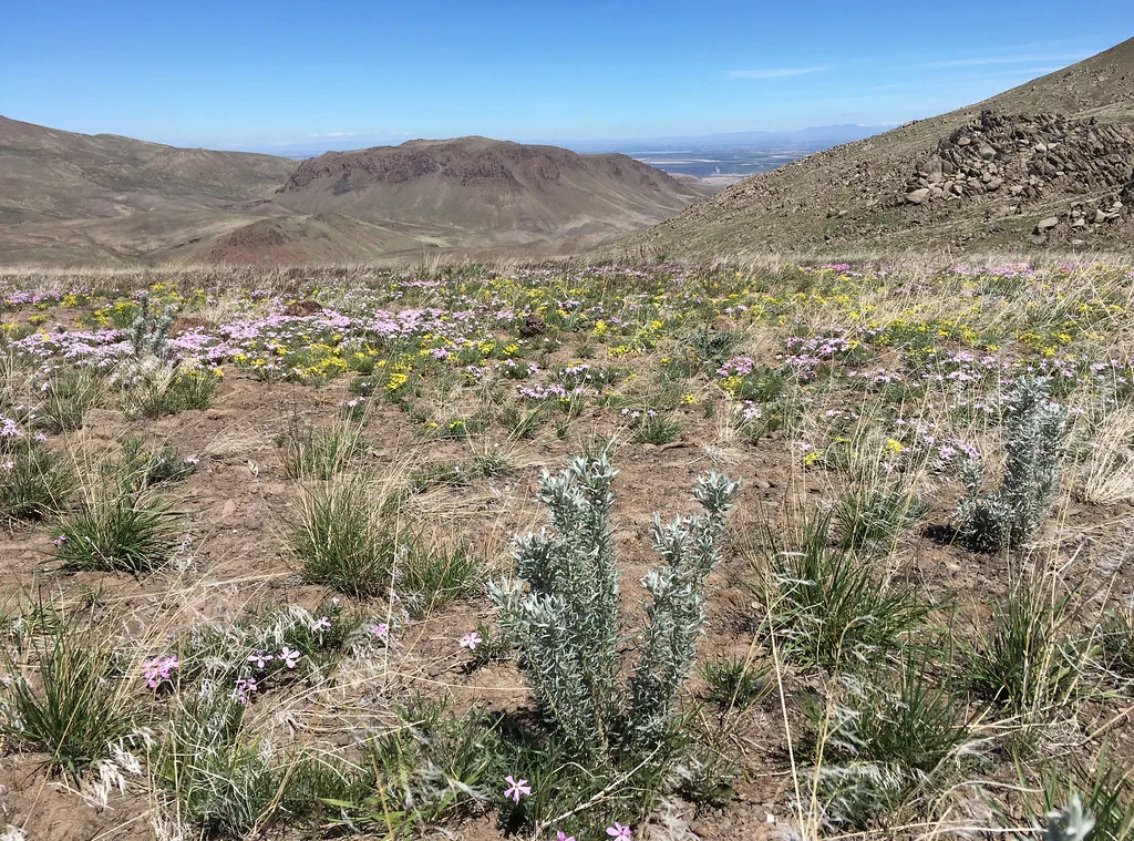 ID-Snake River Plain, about 15 km from Givens Hot Springs, Idaho