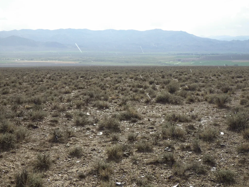 Pahsimeroi Valley: sagebrush steppe, about 30 km from Elk Bend, Idaho