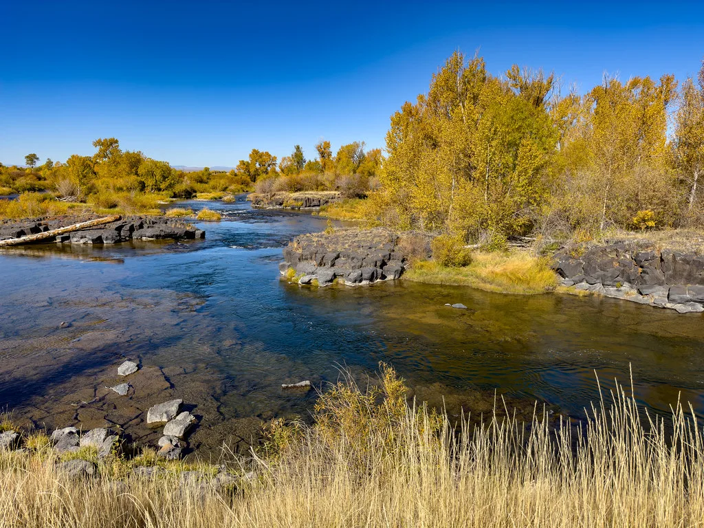 Fall River in autumn, about 15 km from Newdale, Idaho