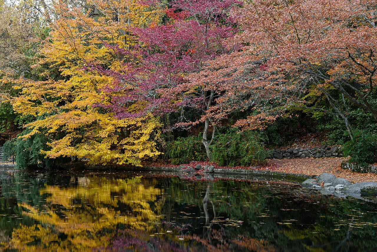 Lithia Park in autumn, Ashland, Oregon