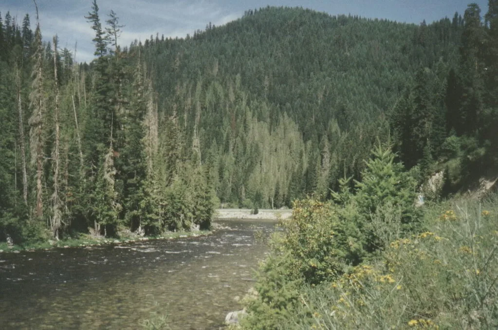 Along the Lolo Pass highway, US 12, Idaho