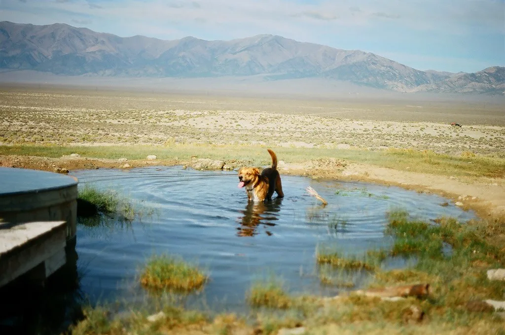Spencer Hot Springs, Nevada