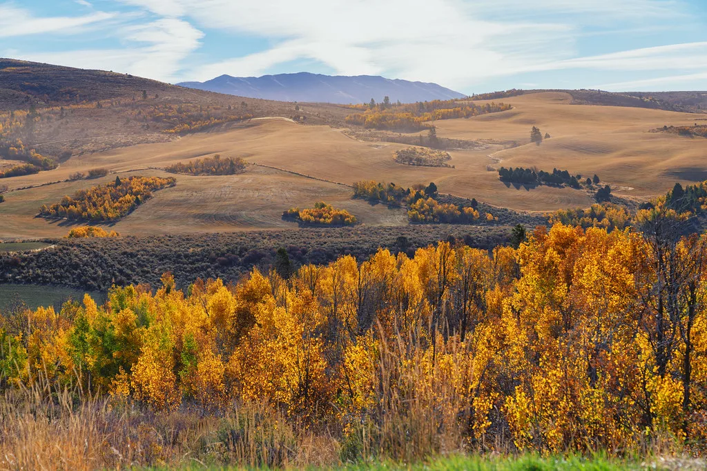 Mink Creek Road - Caribou-Targhee National Forest - Idaho, about 21 km from Pocatello