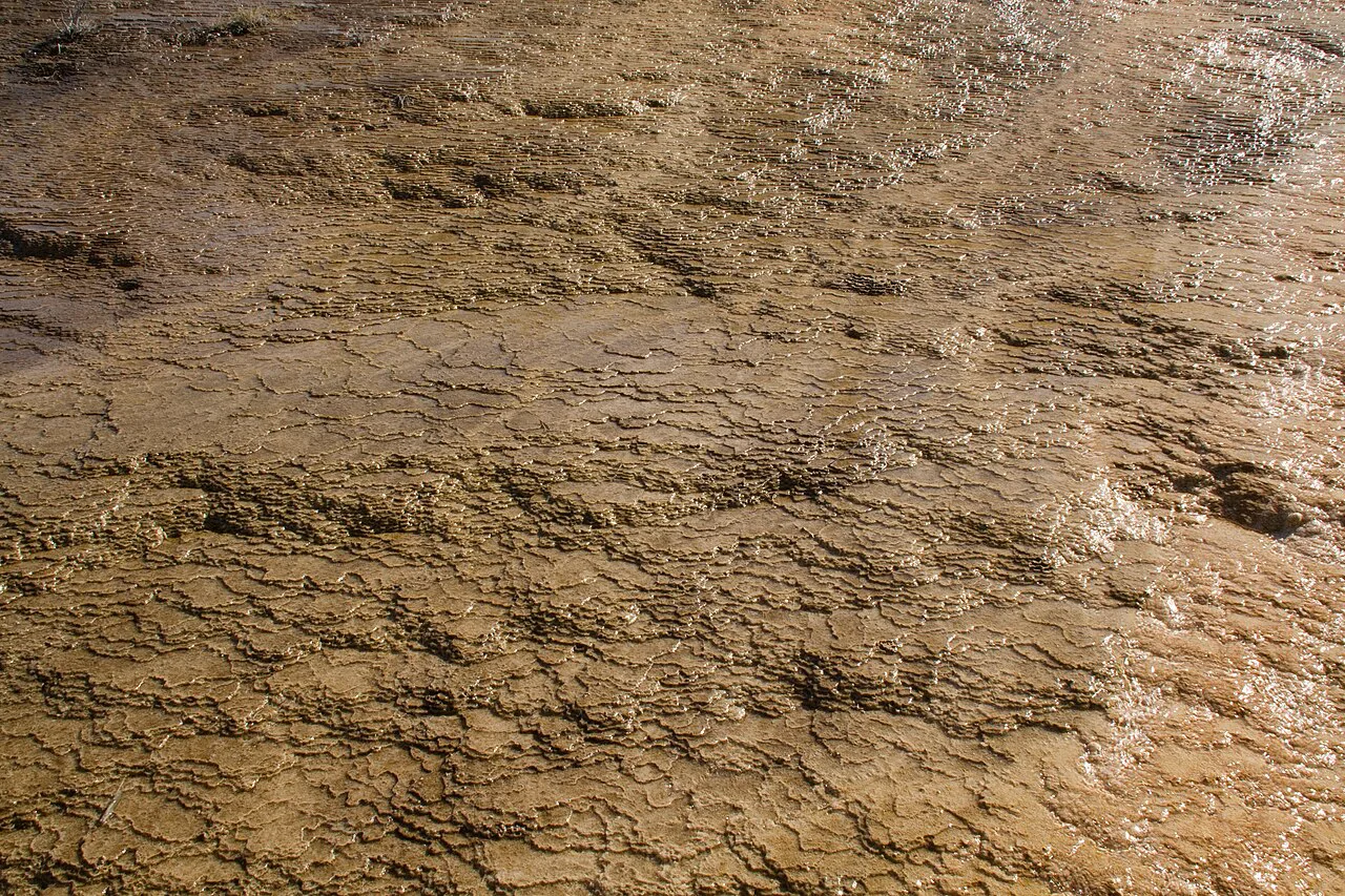Ripples at Mammoth Hot Springs, Yellowstone National Park
