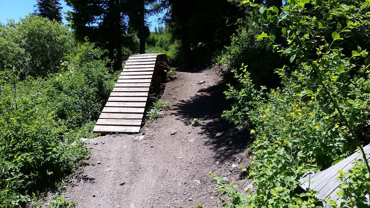 Trail conditions, about 29 km from Roystone Hot Springs, Idaho