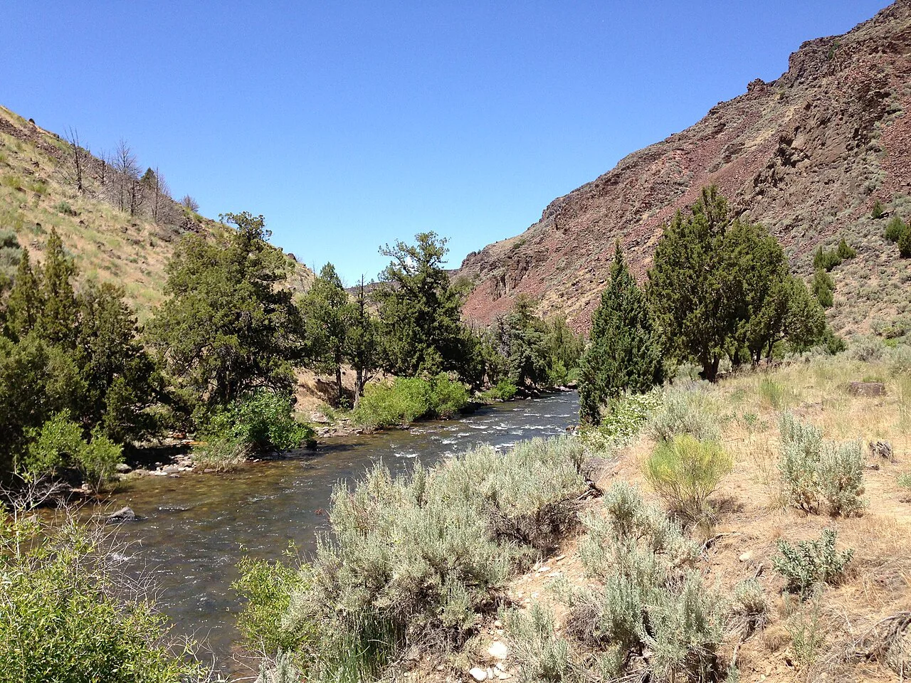 Jarbidge River near Murphy's Hot Springs, Idaho