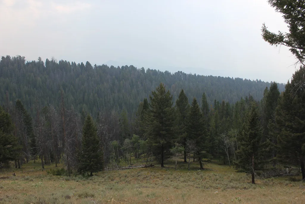 Pioneer Mountains Scenic Byway, about 24 km from Jackson Hot Springs, Montana
