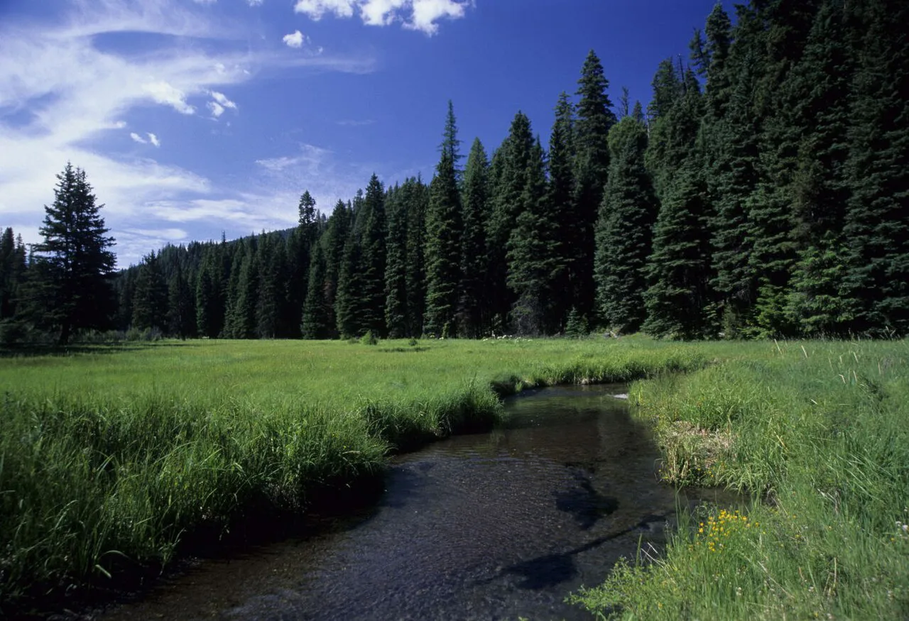 Middle Fork of John Day River-Malheur, near Ukiah, Oregon
