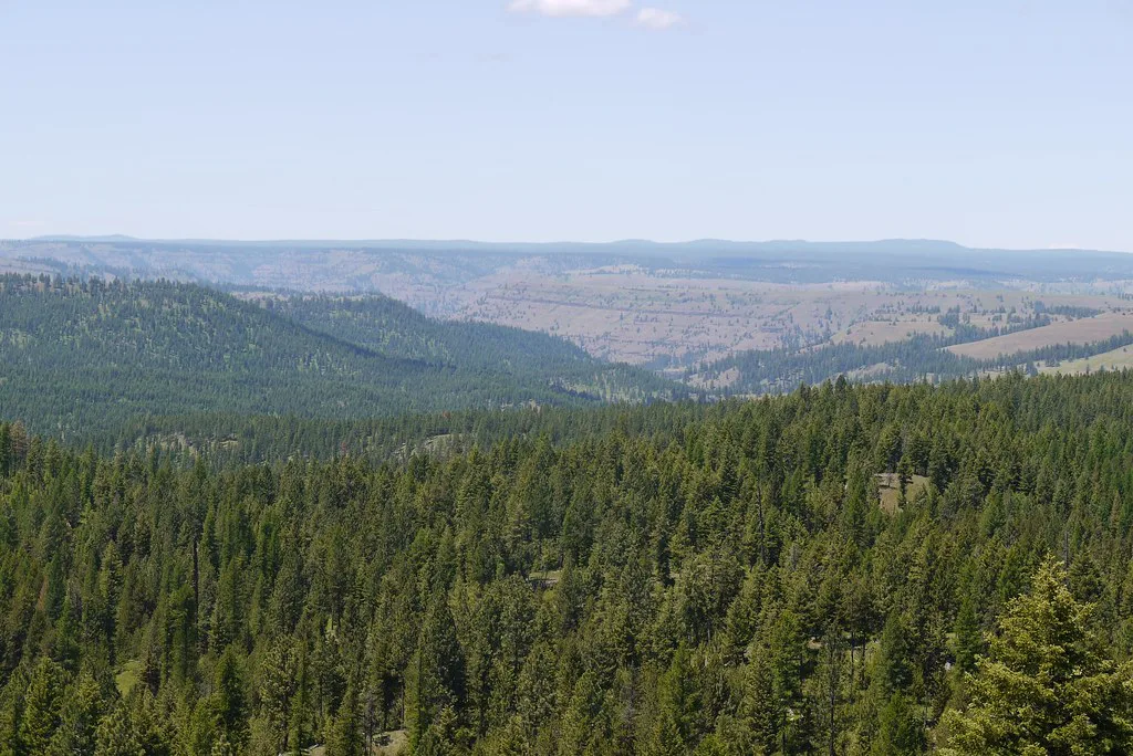 Desolation Creek country, about 22 km from Ukiah, Oregon