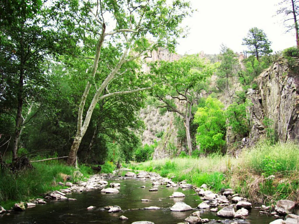 West Fork Gila River, near Gila Hot Springs, New Mexico