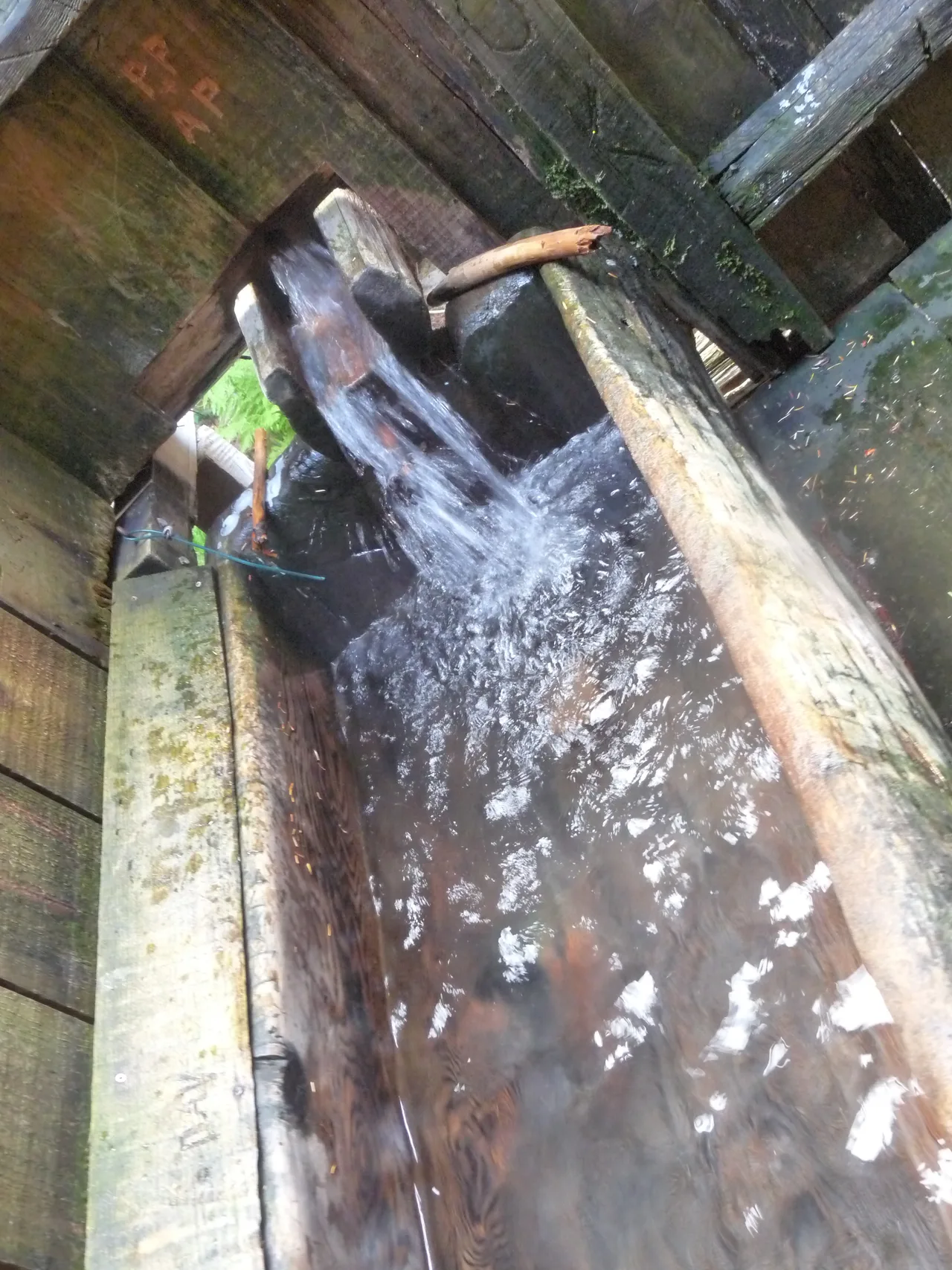 Cedar log tub filling at Bagby Hot Springs, Oregon