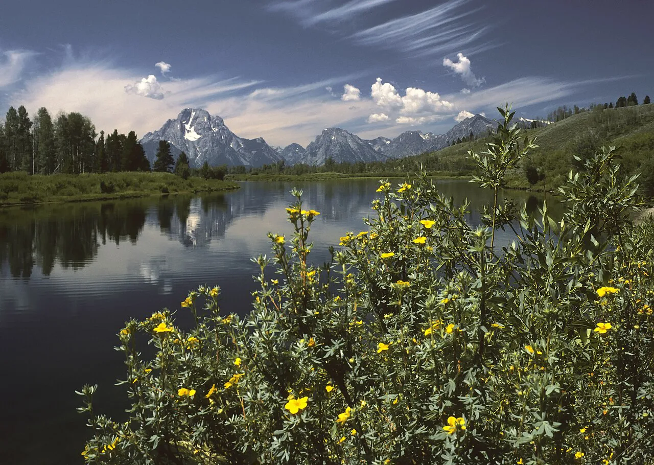 Oxbow Bend outlook in the Grand Teton National Park, Wyoming