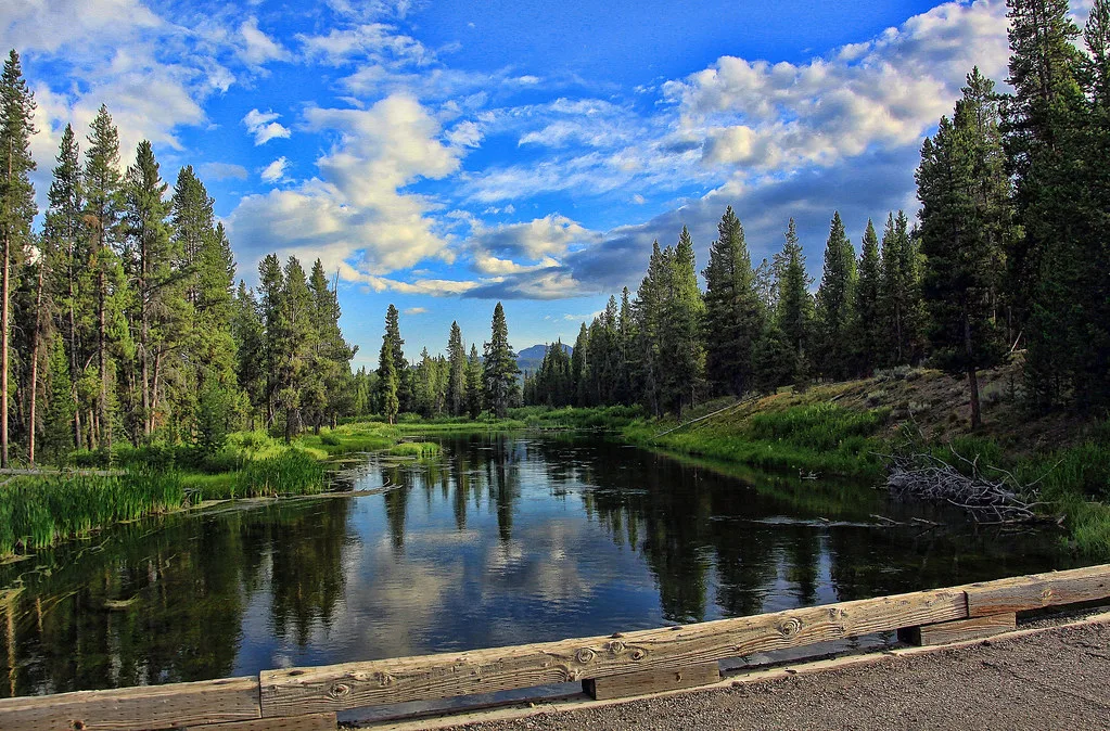 Crossing Polecat Creek, near Huckleberry Hot Springs, Wyoming