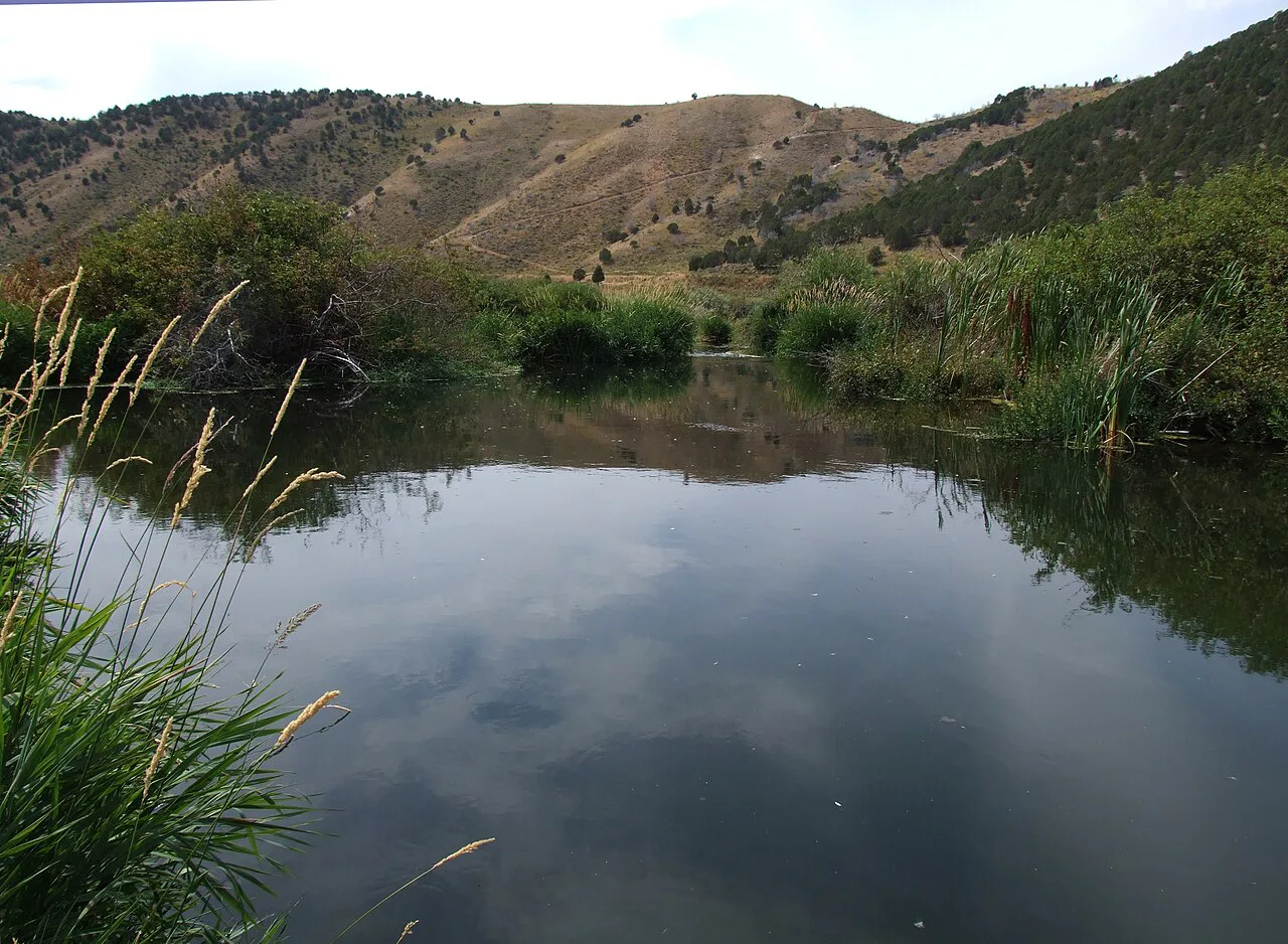 A Pool on the Portneuf, near Lava Hot Springs, Idaho