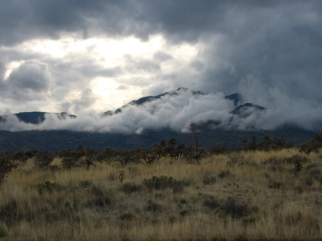 Mount Graham south of Safford, Arizona