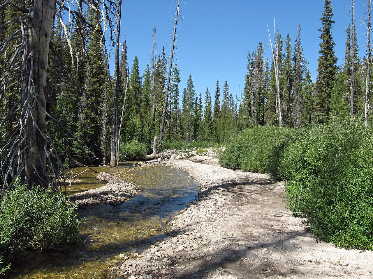Stanley Lake Creek Sawtooth NRA, near Sacajawea Hot Springs, Idaho