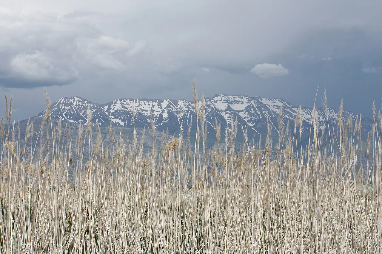 View of Mt Timpanogos, near Saratoga Springs, Utah