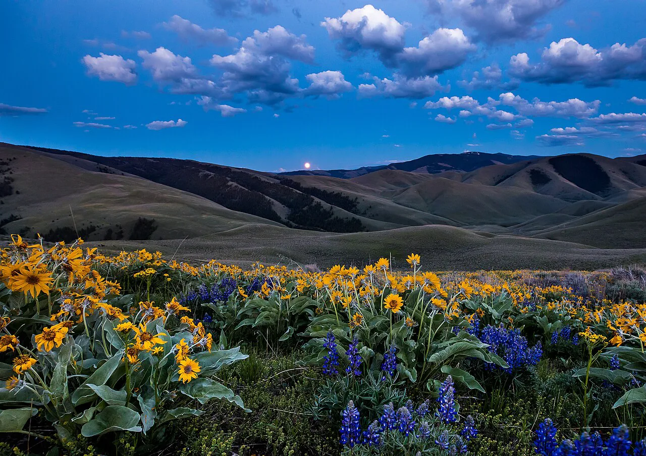 North towards Lemhi moonrise, near Sharkey Hot Springs, Idaho