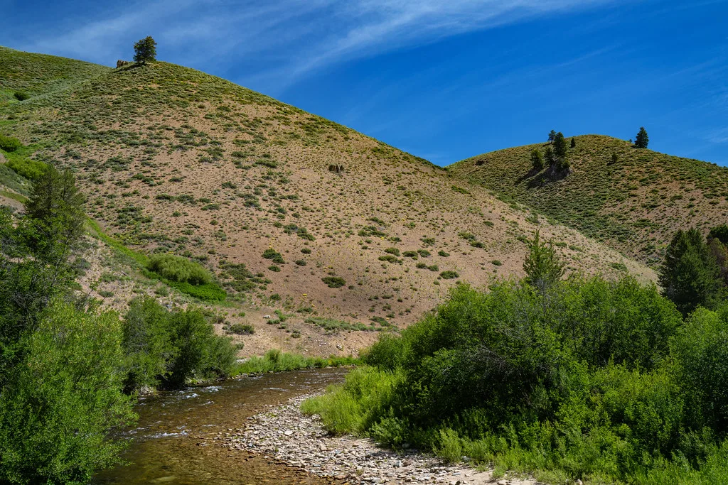 Big Smokey Creek Near Browns Campground (Idaho), near Skillern Hot Springs, Idaho