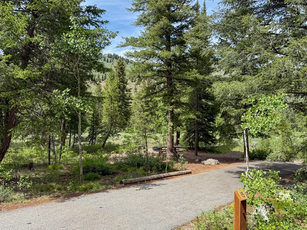 Campsite 15 at Wood River Campground - Sawtooth National Forest - Idaho, near Easley Hot Springs