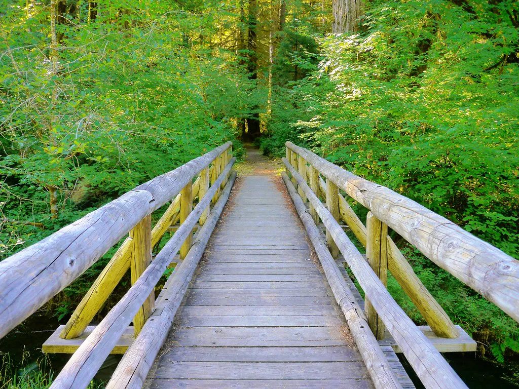 One of the wooden bridges on the Delta Campground Old Growth Trail, Oregon