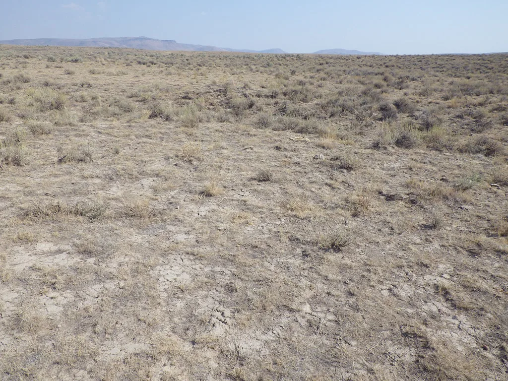 North of Jordan Valley: sagebrush steppe, Oregon