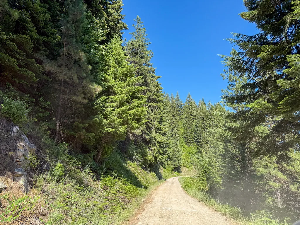 Saddle Camp Road Down from Lolo Motorway to US-12 (Idaho), near Weir Creek Hot Springs, Idaho