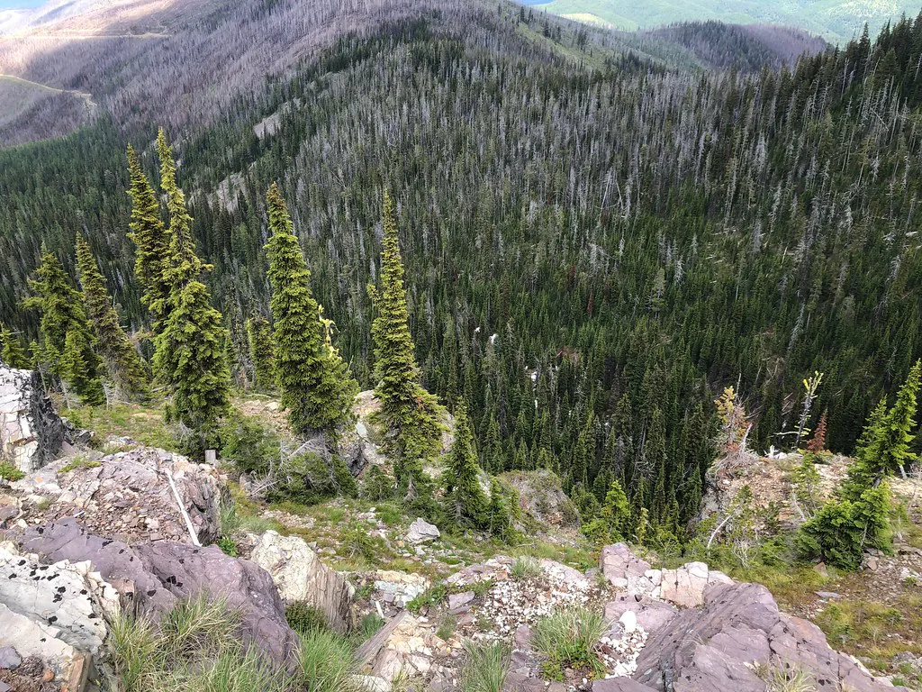 Cliffs from Big Hole Lookout with conifer-covered mountains in the background, about 30 km from Hot Springs, Montana