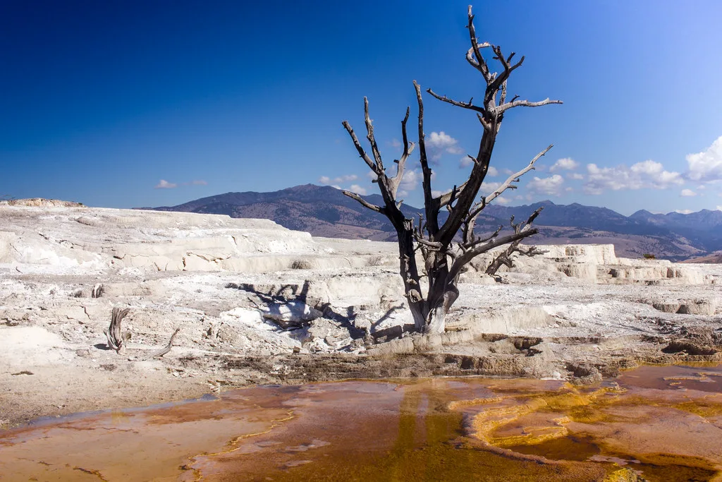 mammoth hot springs - main terrace, Wyoming